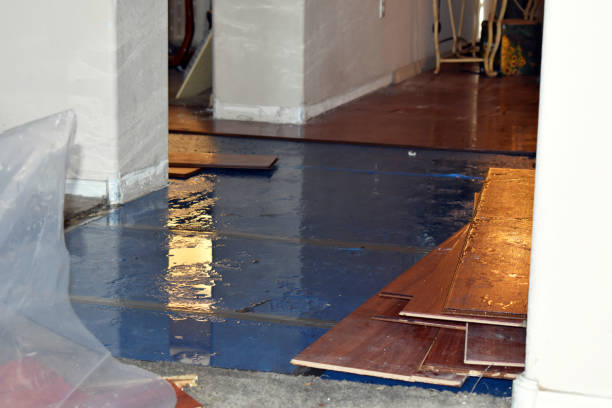 Professional Burst Pipe Cleanup technician working in Trenton, IL